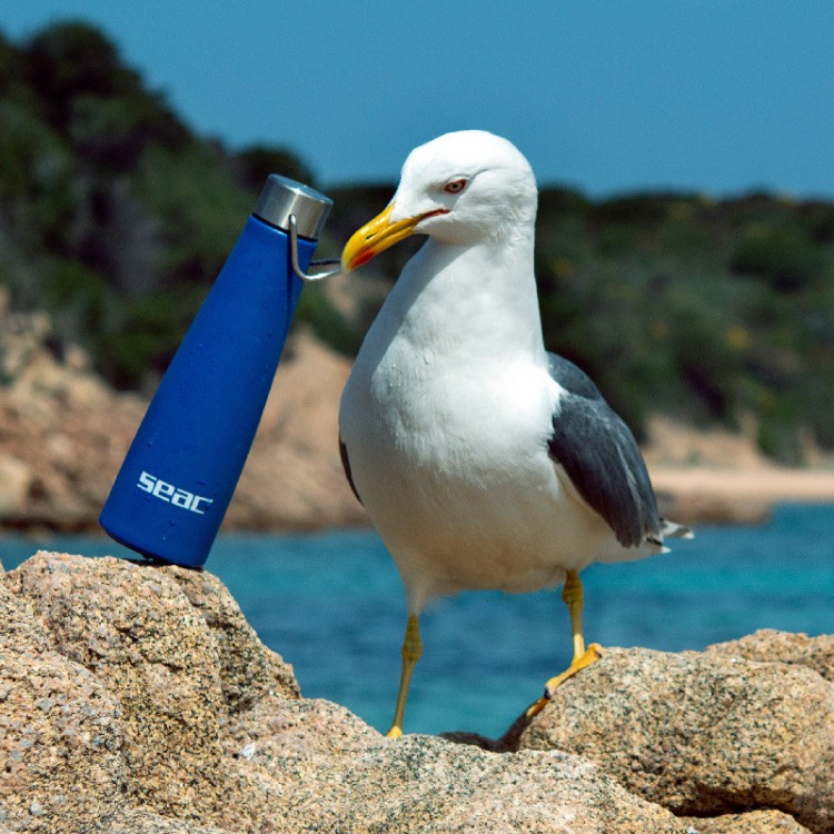 Termos boca od nehrđajućeg čelika SEAC WADI 500ML